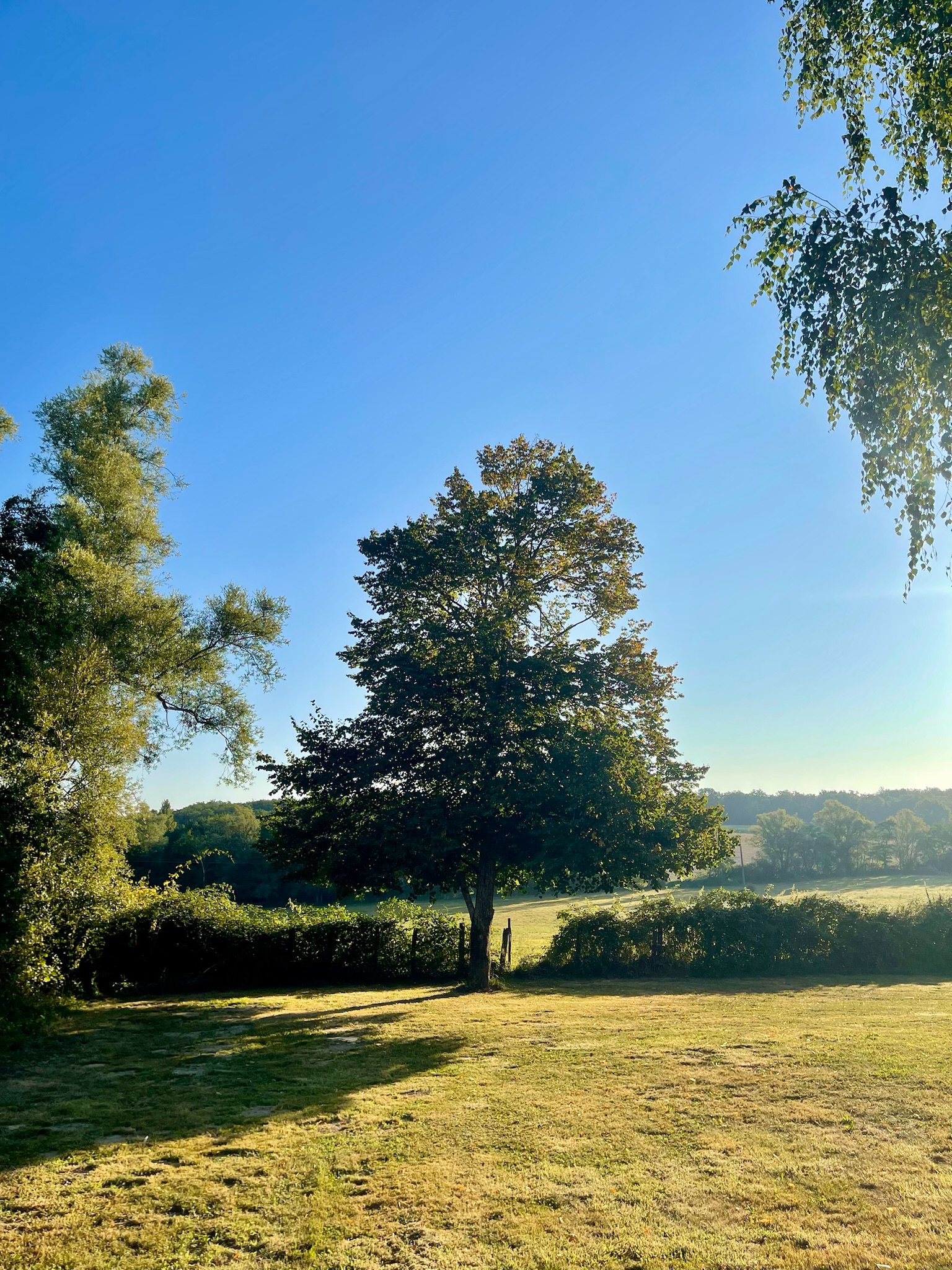 Bourgogne yoga retreat sunrise @ Domaine Daisy