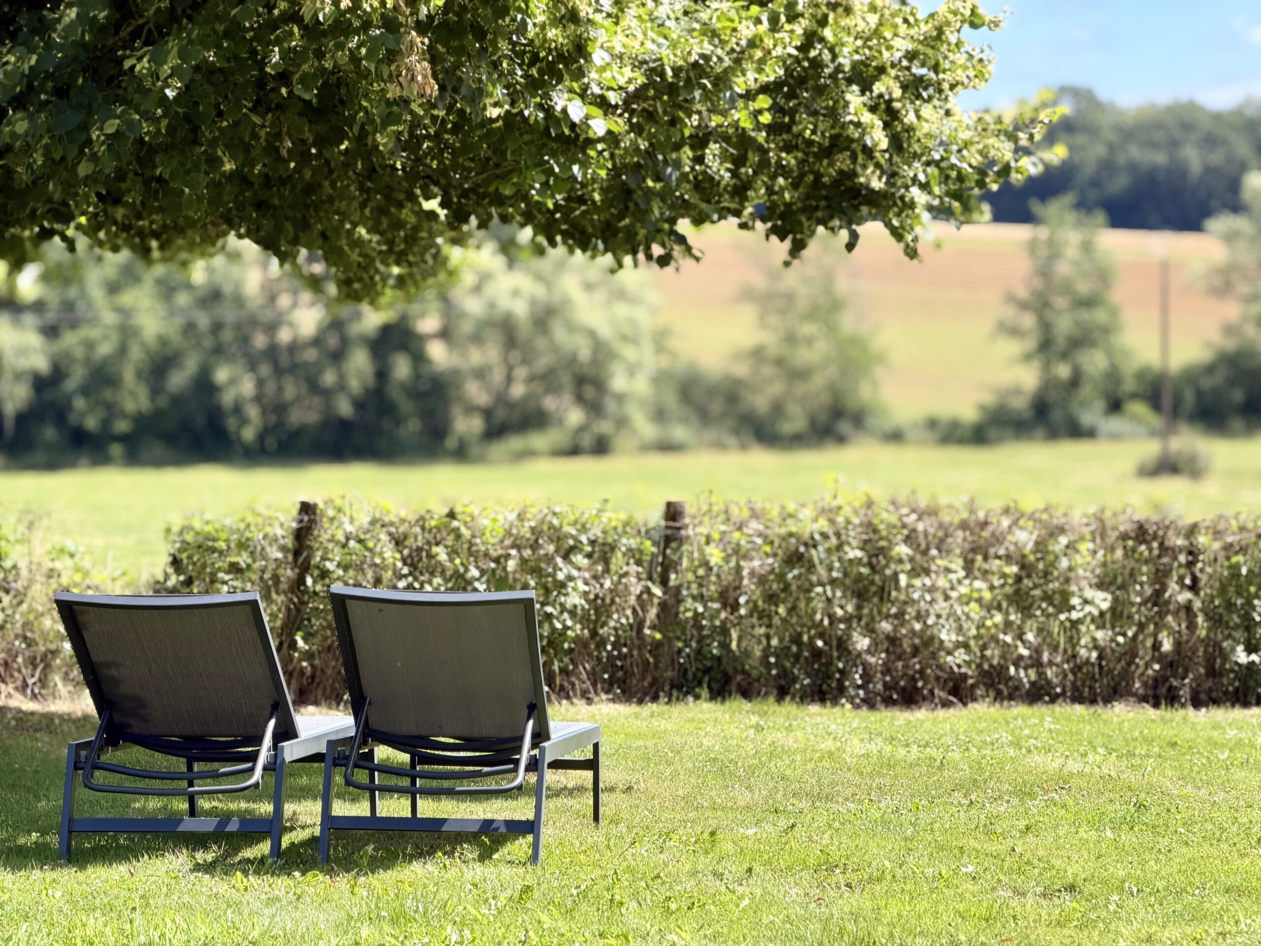 Twee ligstoelen in de tuin onder een grote boom met uitzicht over glooiende heuvels
