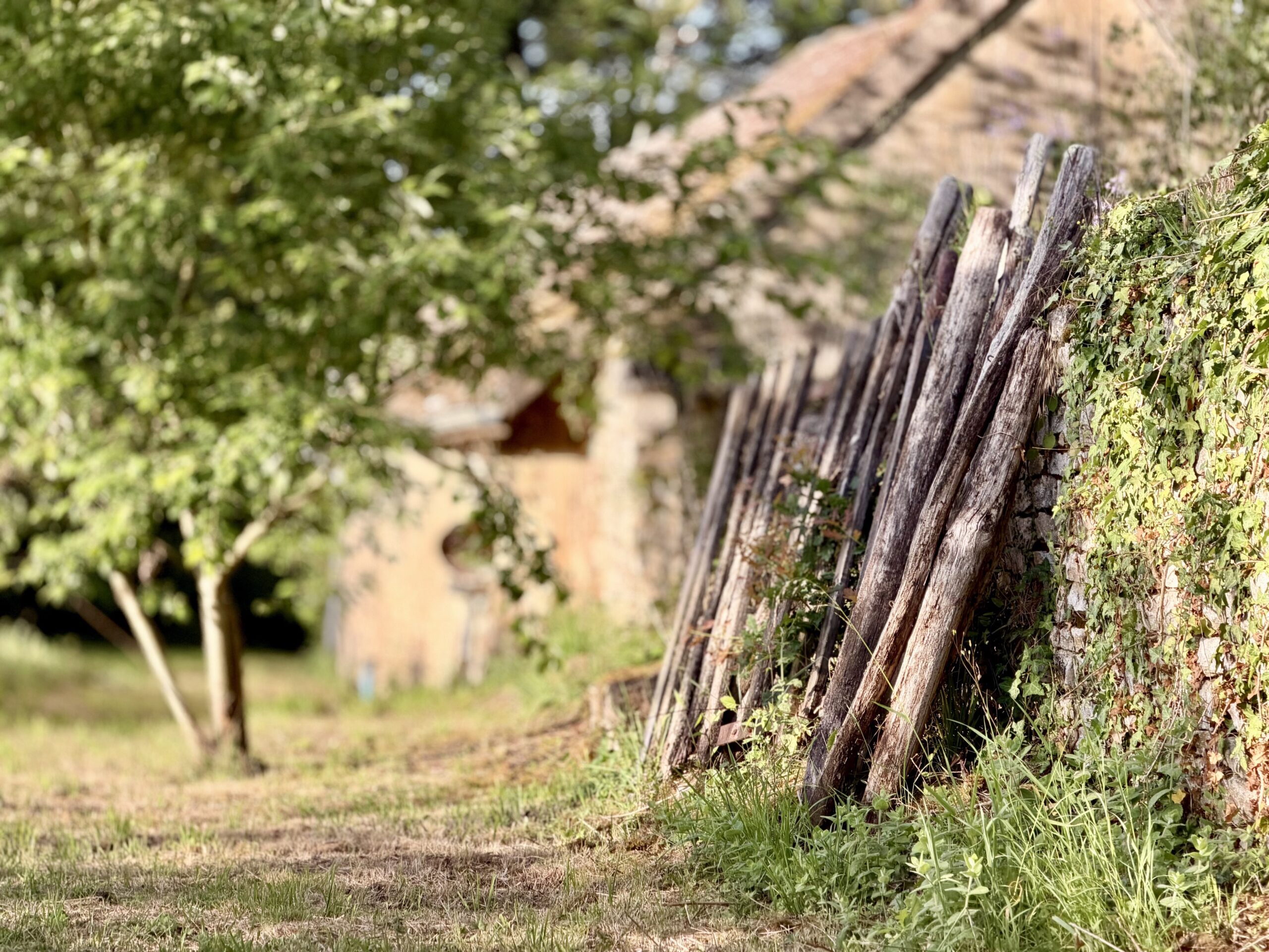 Decoratief oud houten hekwerk in de tuin met natuur